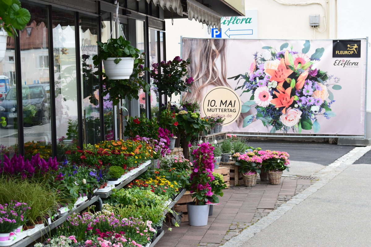 Blick in den Eliflora-Blumenladen in Schwabmünchen